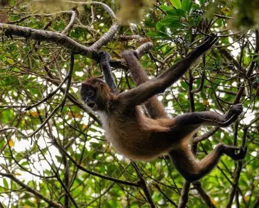 Special Wildlife Tour