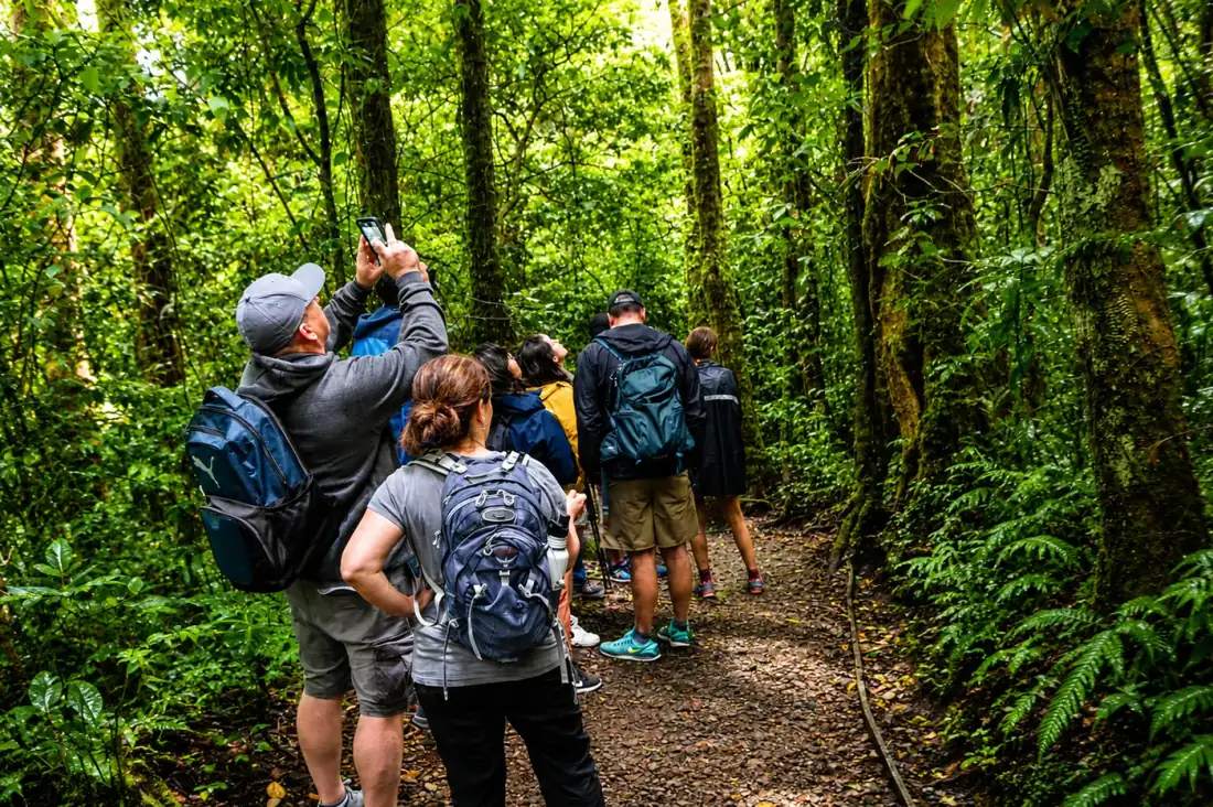 Cloud Forest Reserve Tour in Monteverde