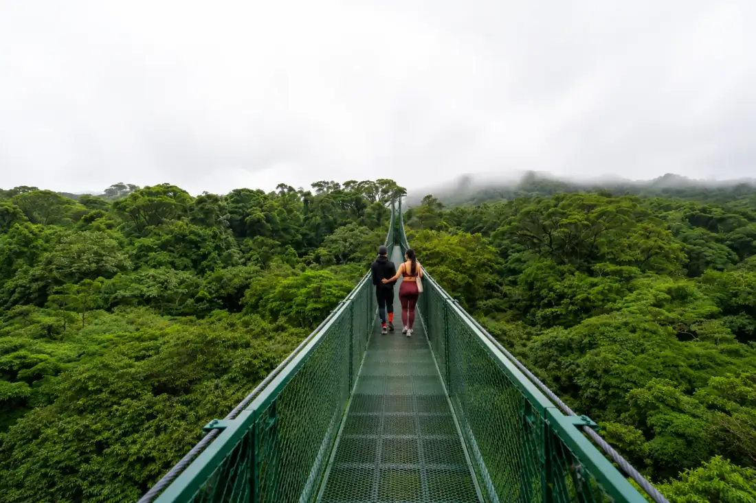 Hanging Bridges Tour in Monteverde