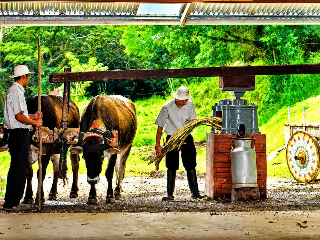 Mixed Adventures Package in Monteverde