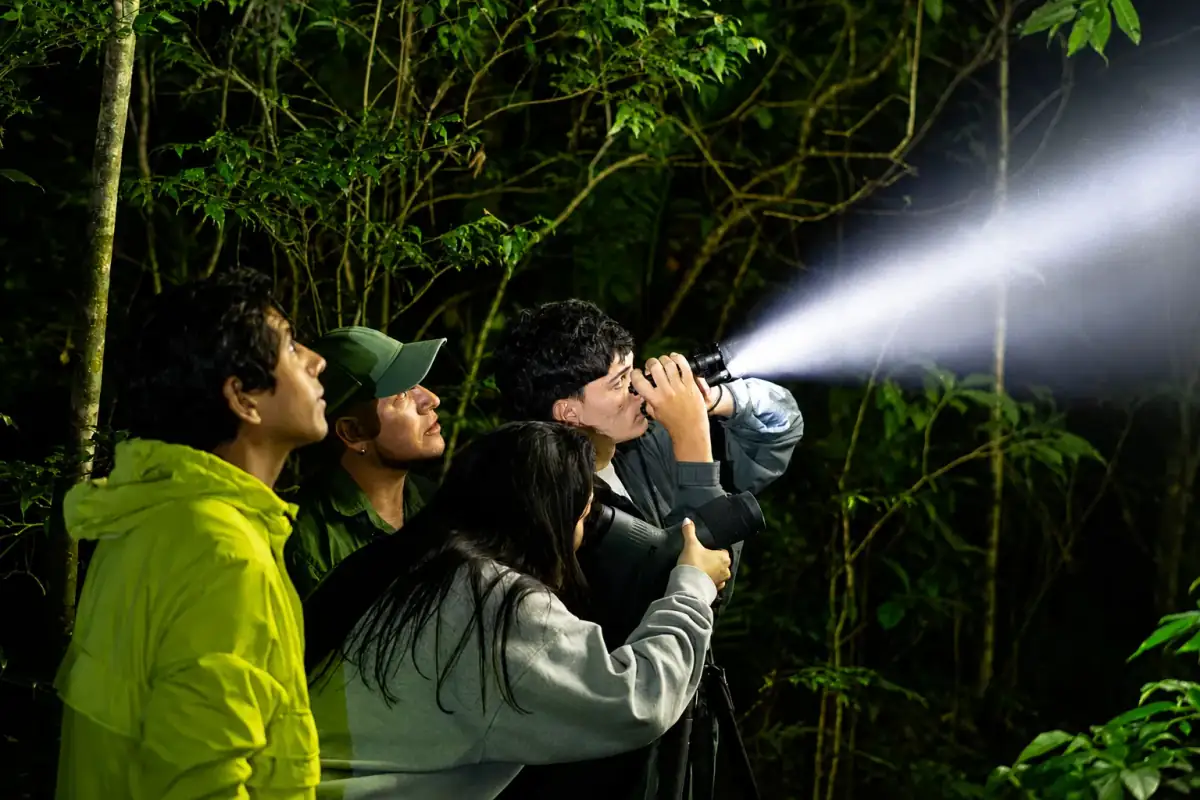 Monteverde Night Tour