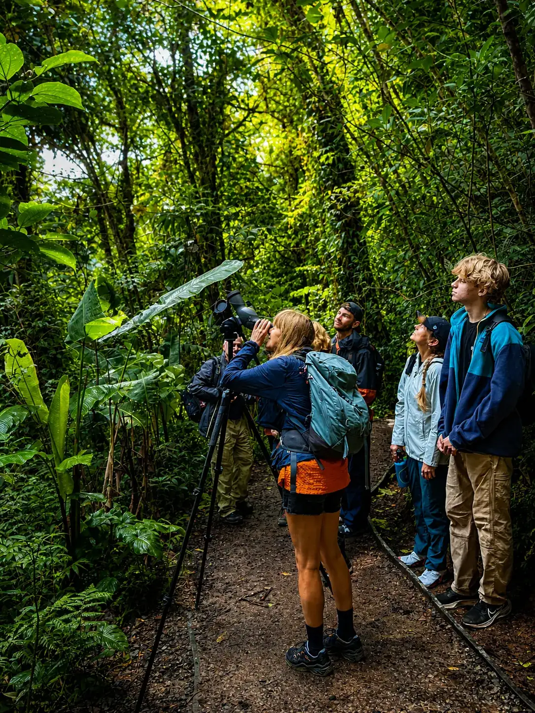 Special Wildlife Tour in Monteverde
